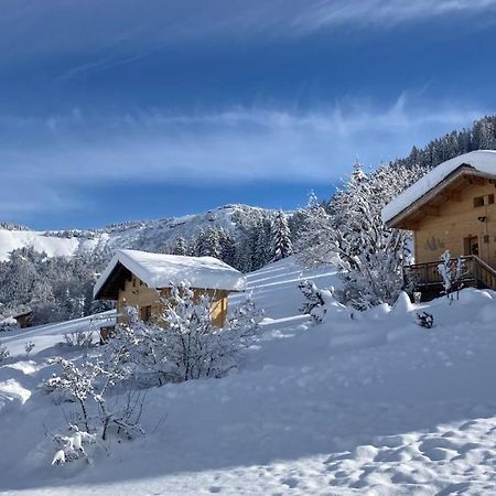 Chalets Savoie Les Chalets D'Heidi Нотр-Дам-Дьо-Белкомб Екстериор снимка