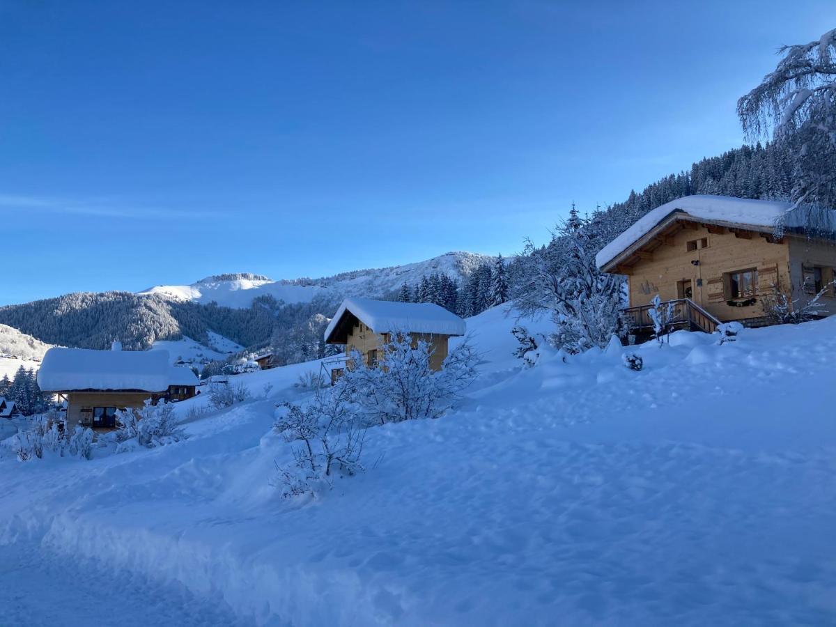 Chalets Savoie Les Chalets D'Heidi Нотр-Дам-Дьо-Белкомб Екстериор снимка