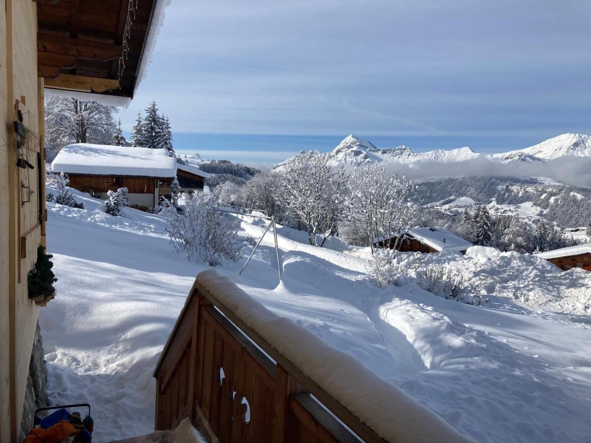 Chalets Savoie Les Chalets D'Heidi Нотр-Дам-Дьо-Белкомб Екстериор снимка