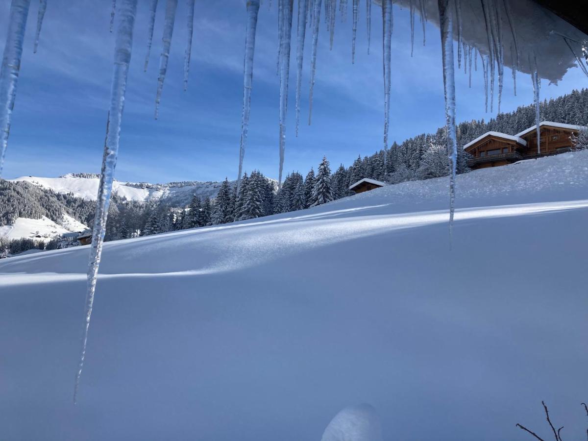 Chalets Savoie Les Chalets D'Heidi Нотр-Дам-Дьо-Белкомб Екстериор снимка