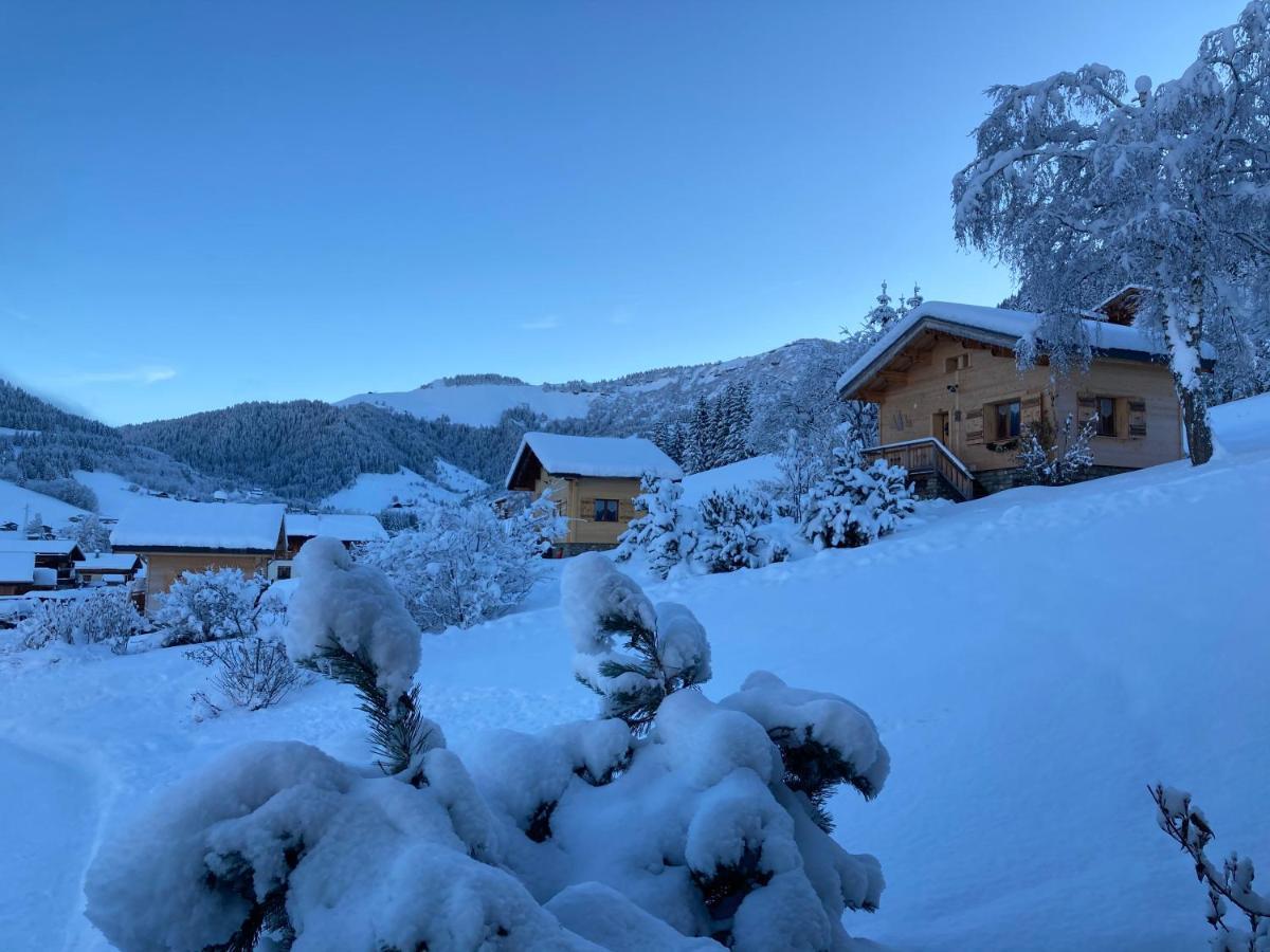 Chalets Savoie Les Chalets D'Heidi Нотр-Дам-Дьо-Белкомб Екстериор снимка