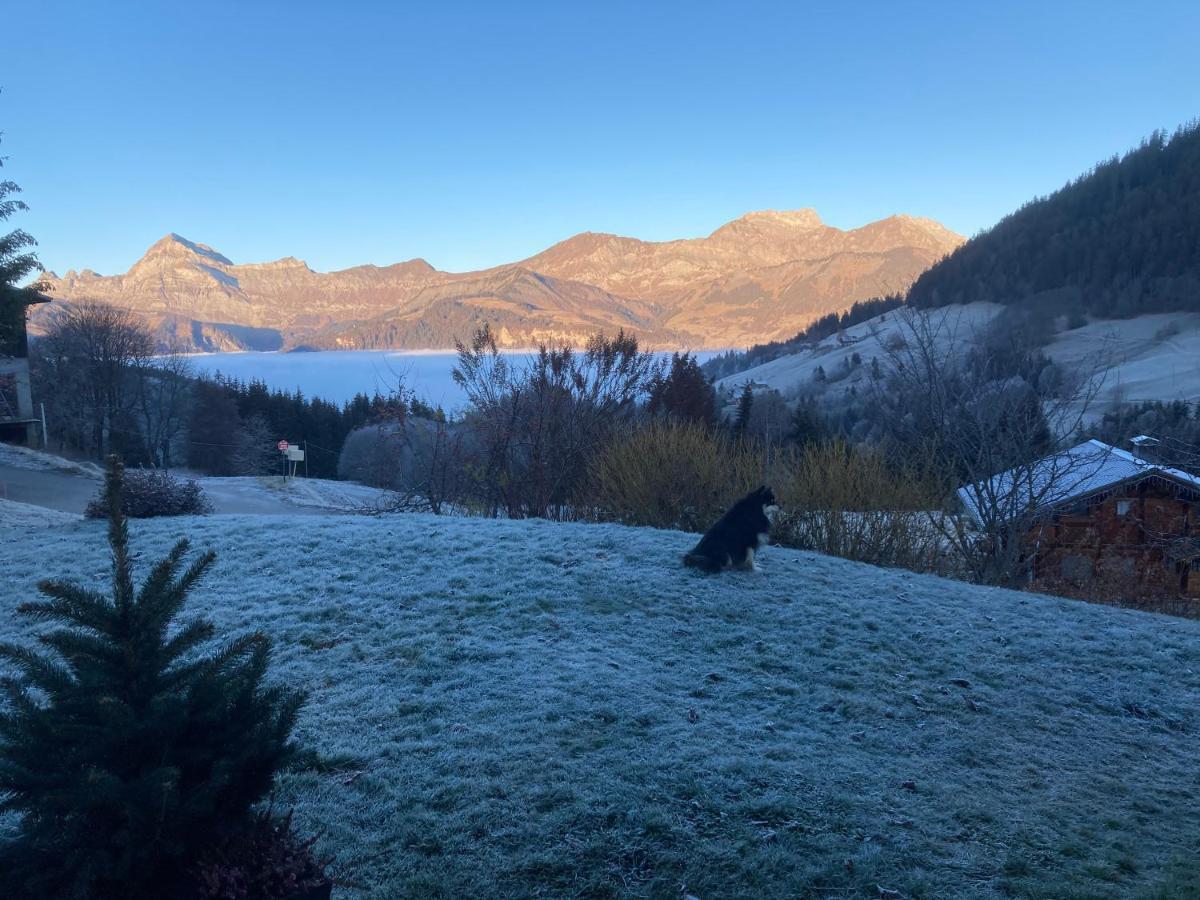Chalets Savoie Les Chalets D'Heidi Нотр-Дам-Дьо-Белкомб Екстериор снимка