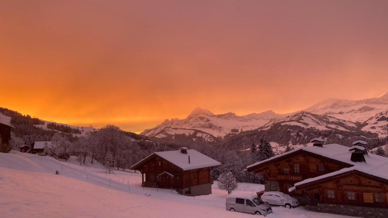Chalets Savoie Les Chalets D'Heidi Нотр-Дам-Дьо-Белкомб Екстериор снимка