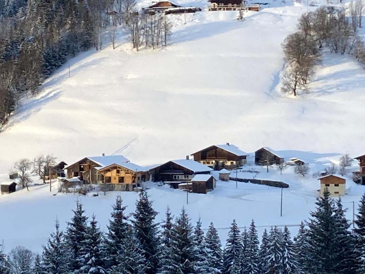 Chalets Savoie Les Chalets D'Heidi Нотр-Дам-Дьо-Белкомб Екстериор снимка