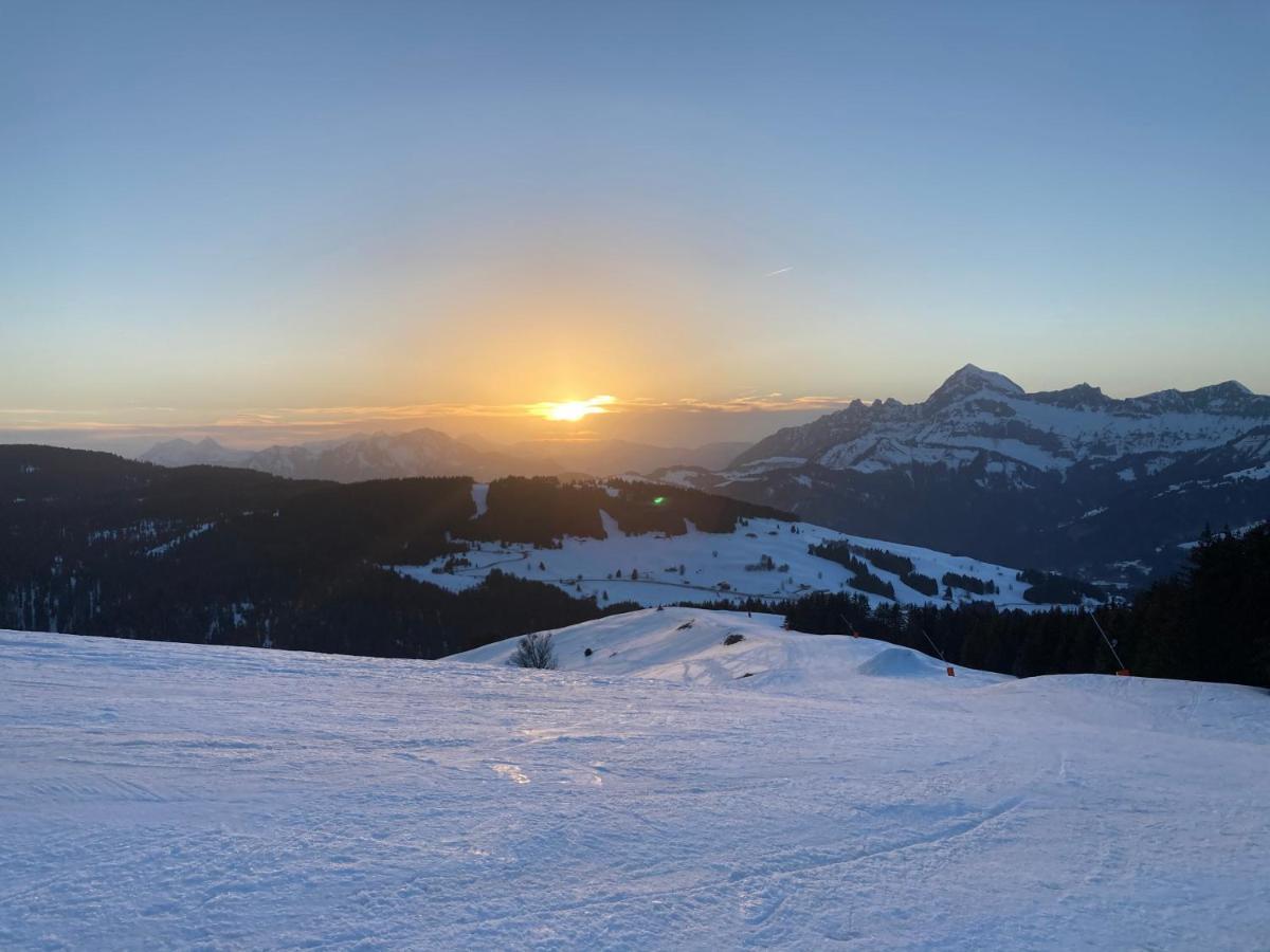 Chalets Savoie Les Chalets D'Heidi Нотр-Дам-Дьо-Белкомб Екстериор снимка