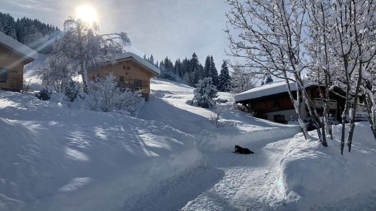 Chalets Savoie Les Chalets D'Heidi Нотр-Дам-Дьо-Белкомб Екстериор снимка