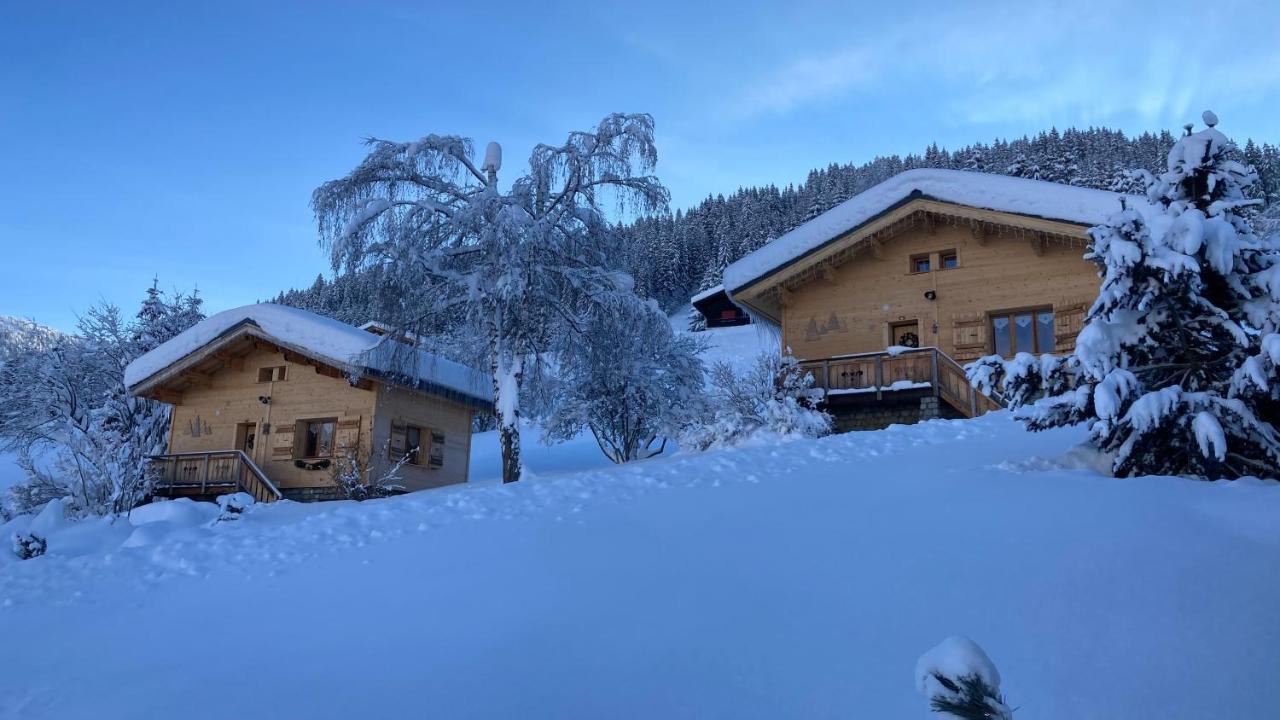 Chalets Savoie Les Chalets D'Heidi Нотр-Дам-Дьо-Белкомб Екстериор снимка
