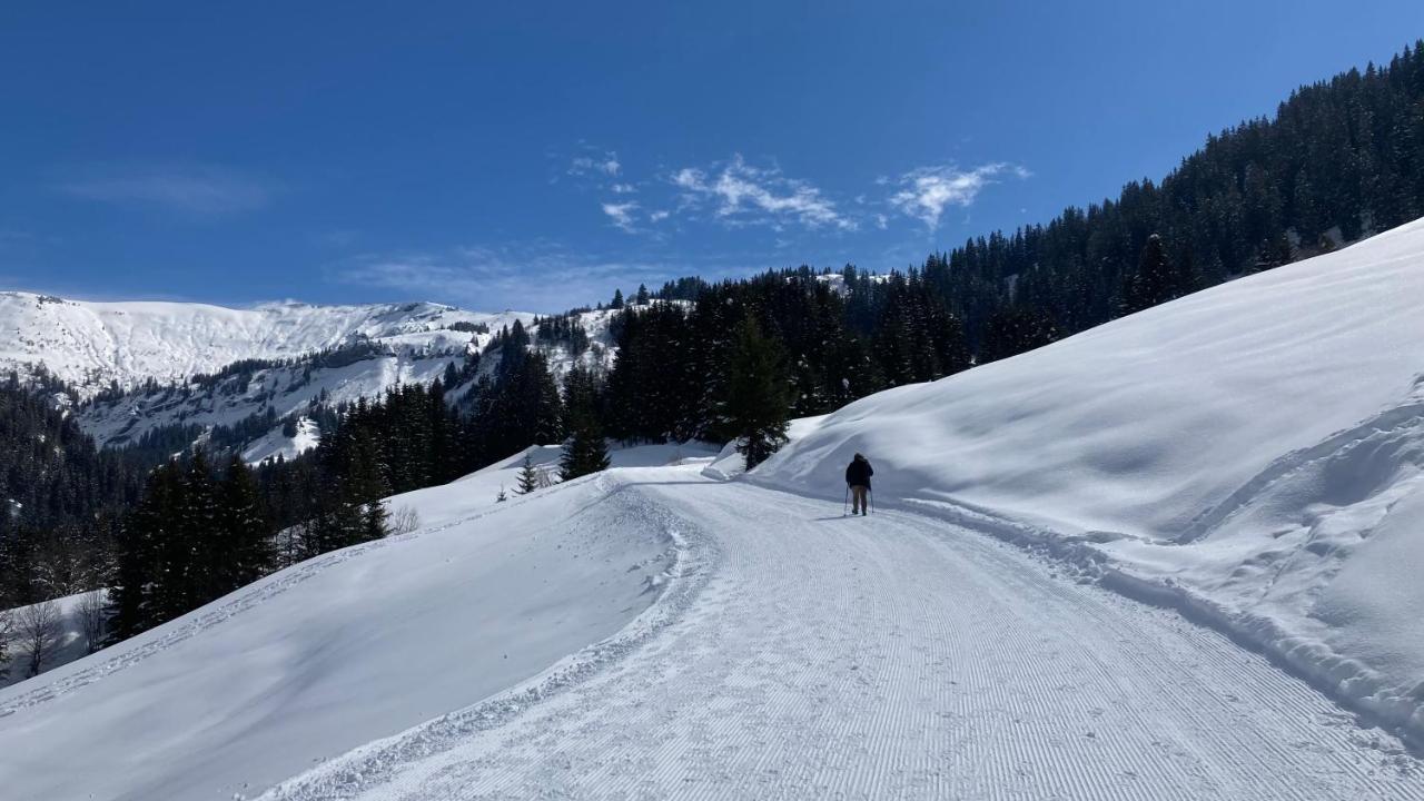 Chalets Savoie Les Chalets D'Heidi Нотр-Дам-Дьо-Белкомб Екстериор снимка