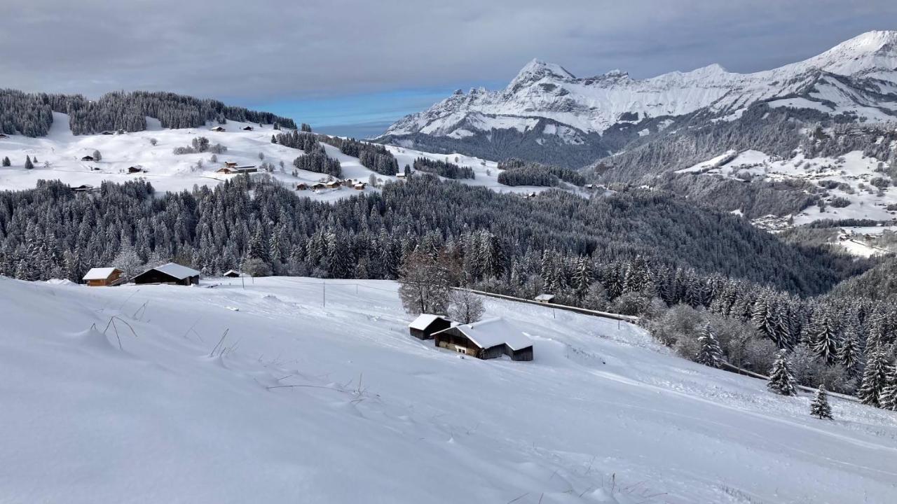 Chalets Savoie Les Chalets D'Heidi Нотр-Дам-Дьо-Белкомб Екстериор снимка