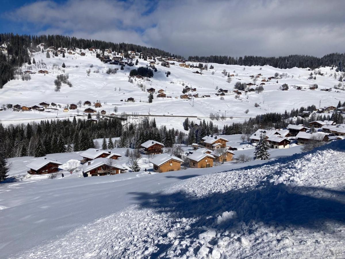 Chalets Savoie Les Chalets D'Heidi Нотр-Дам-Дьо-Белкомб Екстериор снимка