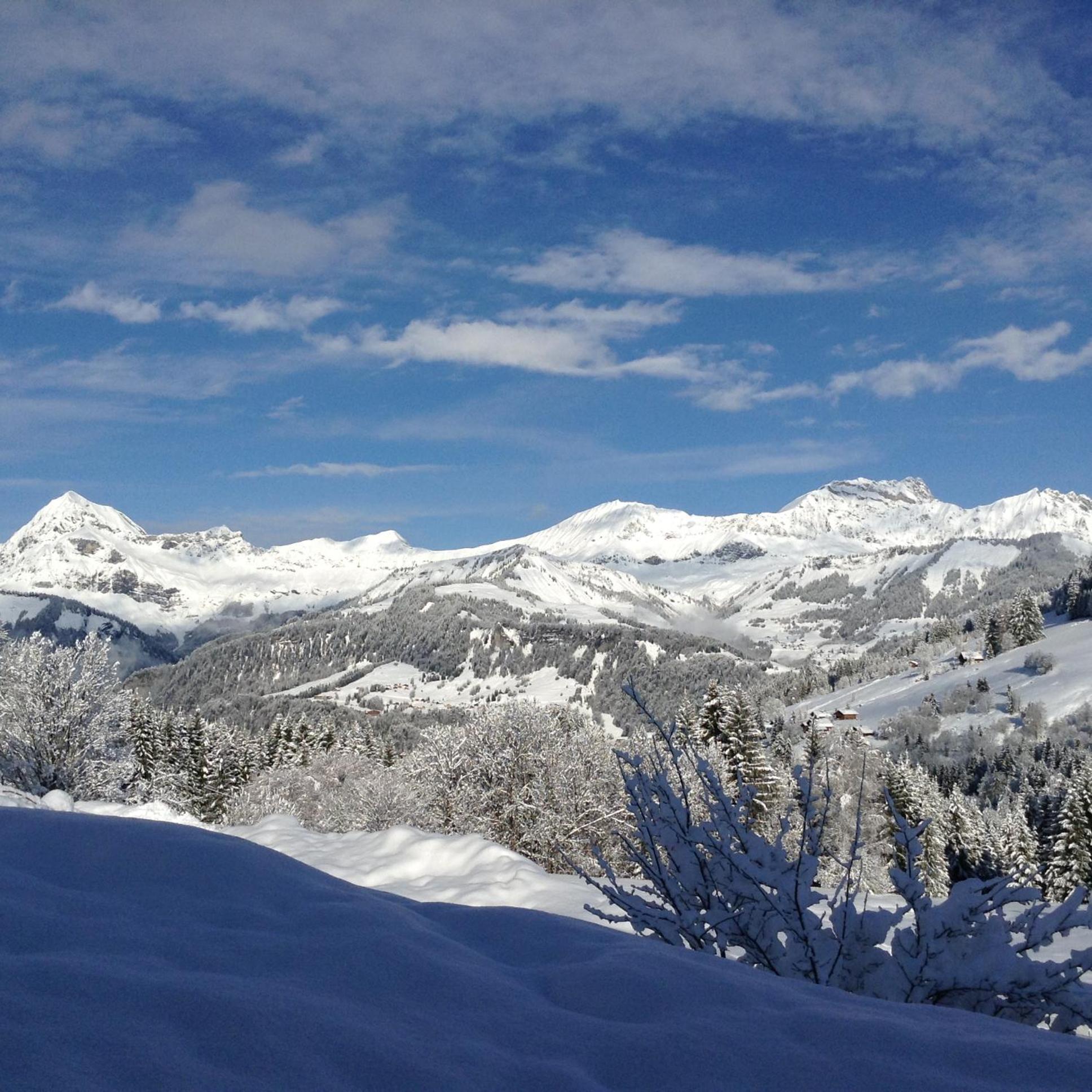 Chalets Savoie Les Chalets D'Heidi Нотр-Дам-Дьо-Белкомб Екстериор снимка