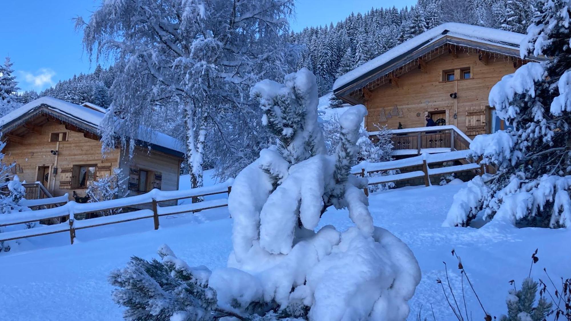 Chalets Savoie Les Chalets D'Heidi Нотр-Дам-Дьо-Белкомб Екстериор снимка