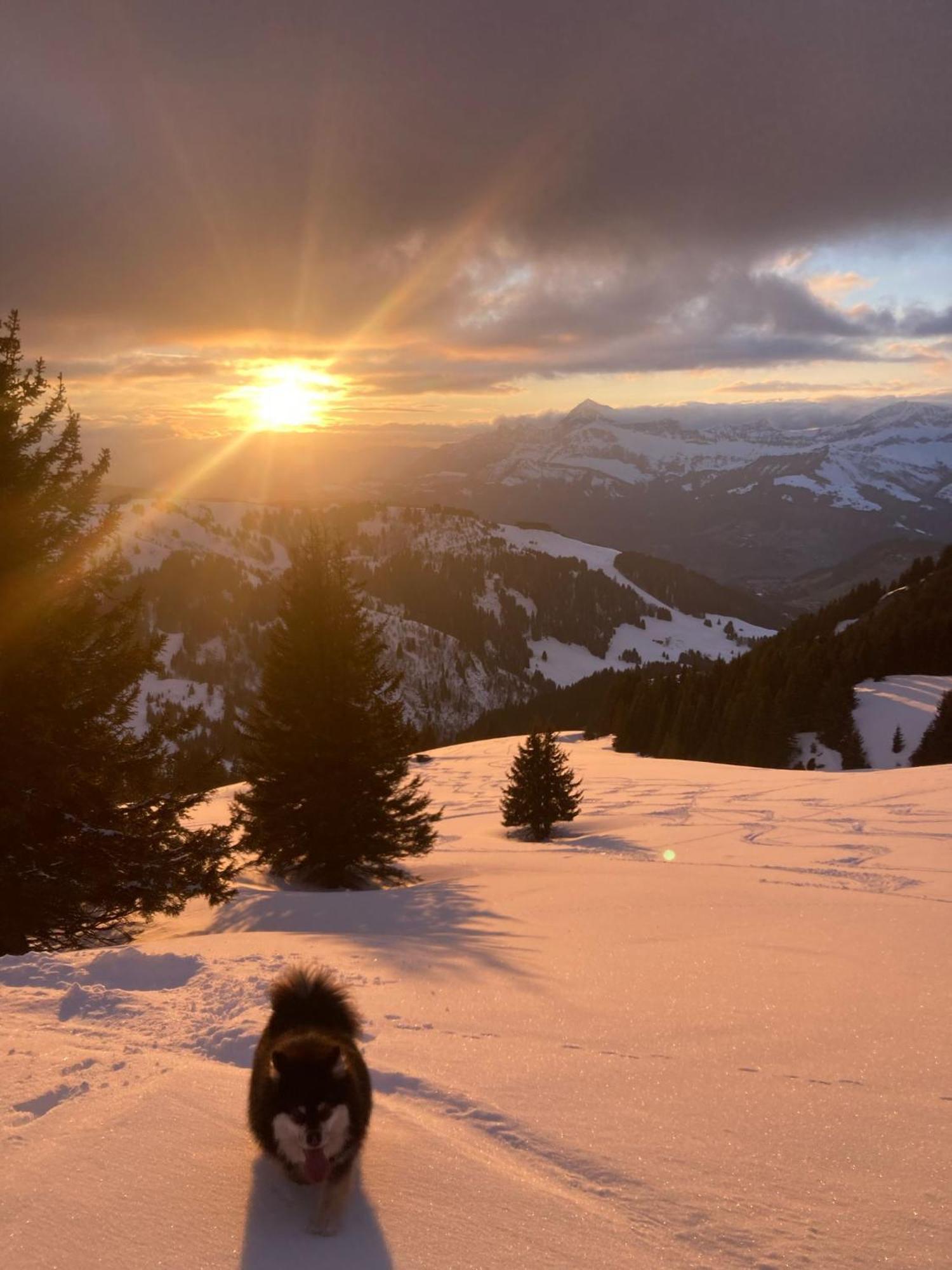 Chalets Savoie Les Chalets D'Heidi Нотр-Дам-Дьо-Белкомб Екстериор снимка