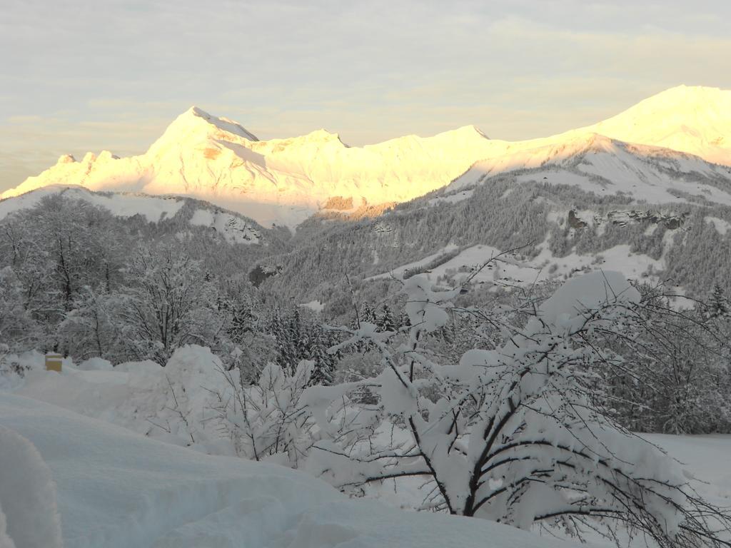 Chalets Savoie Les Chalets D'Heidi Нотр-Дам-Дьо-Белкомб Стая снимка