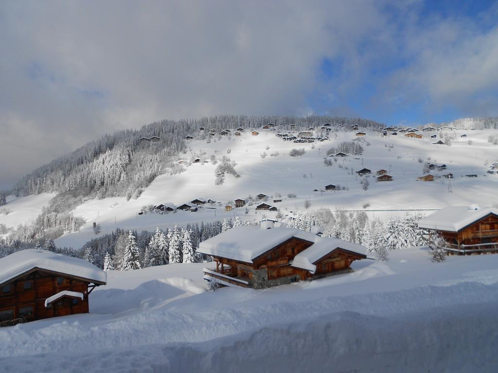 Chalets Savoie Les Chalets D'Heidi Нотр-Дам-Дьо-Белкомб Екстериор снимка