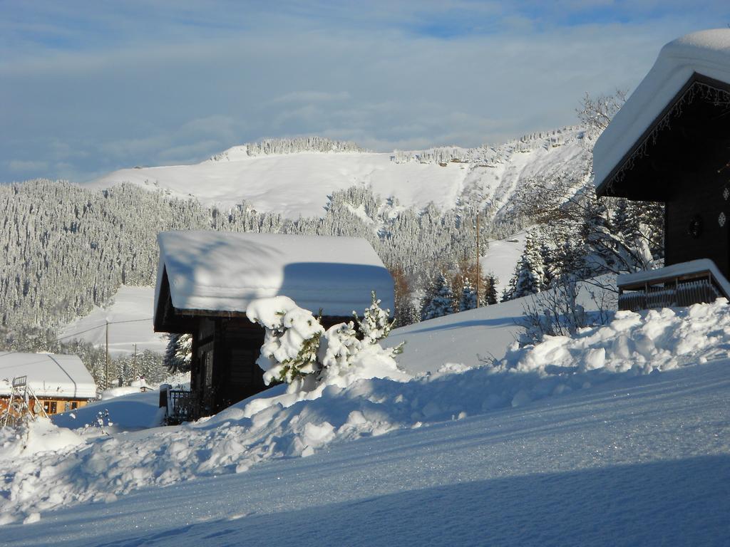 Chalets Savoie Les Chalets D'Heidi Нотр-Дам-Дьо-Белкомб Екстериор снимка