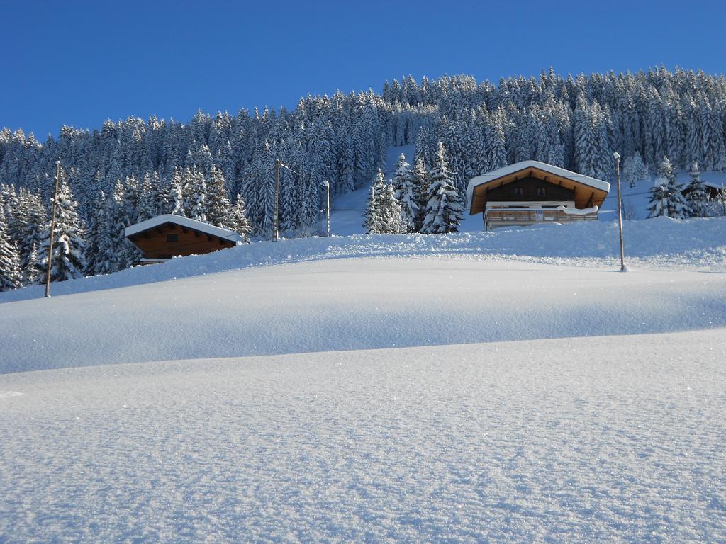 Chalets Savoie Les Chalets D'Heidi Нотр-Дам-Дьо-Белкомб Екстериор снимка