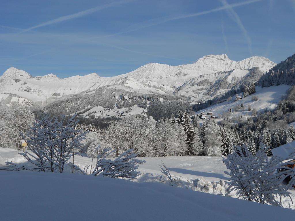 Chalets Savoie Les Chalets D'Heidi Нотр-Дам-Дьо-Белкомб Екстериор снимка