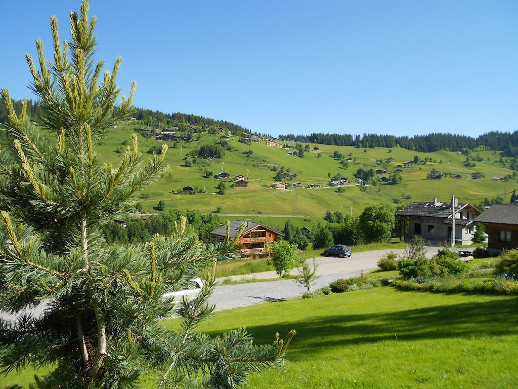 Chalets Savoie Les Chalets D'Heidi Нотр-Дам-Дьо-Белкомб Екстериор снимка