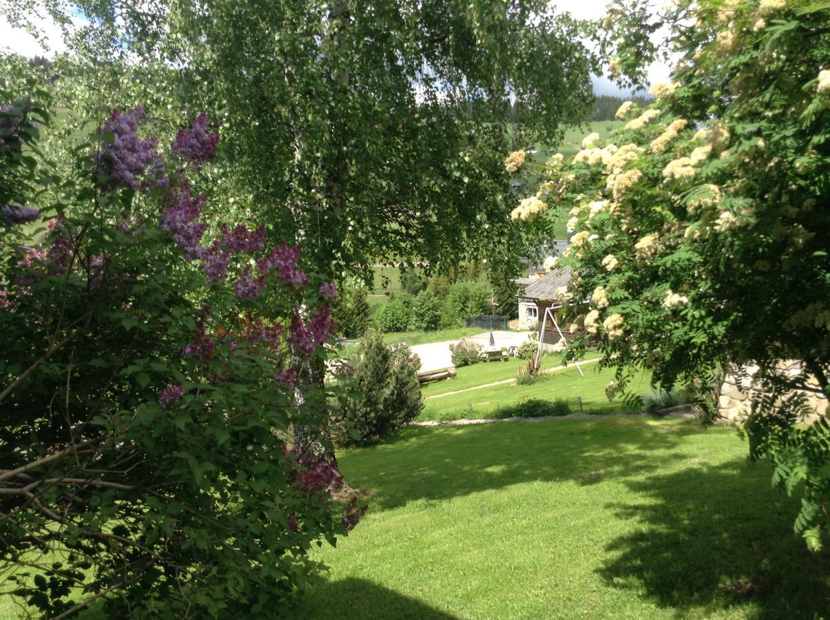 Chalets Savoie Les Chalets D'Heidi Нотр-Дам-Дьо-Белкомб Екстериор снимка