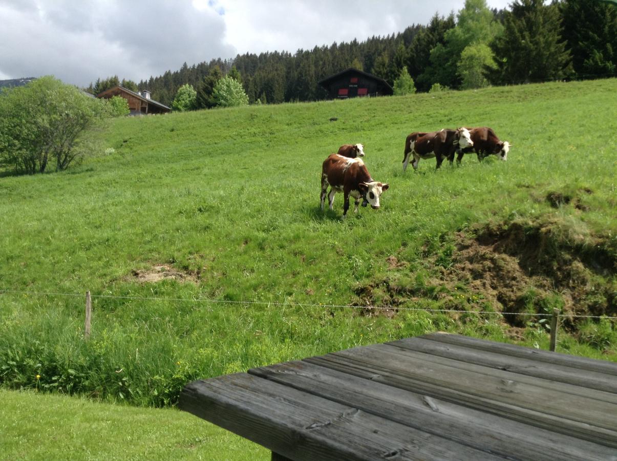 Chalets Savoie Les Chalets D'Heidi Нотр-Дам-Дьо-Белкомб Екстериор снимка
