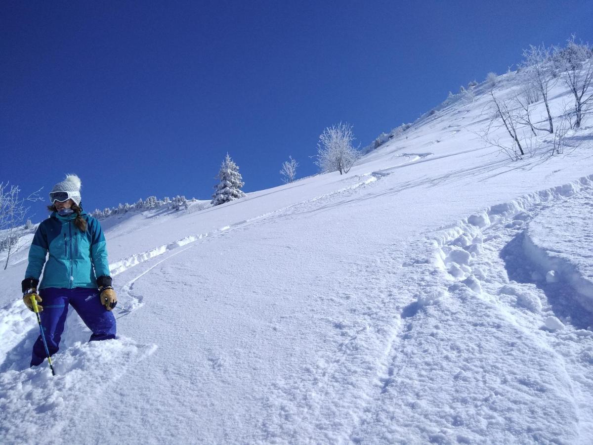 Chalets Savoie Les Chalets D'Heidi Нотр-Дам-Дьо-Белкомб Екстериор снимка